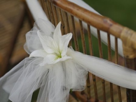 Wedding chairs set up in Casa Fantastica