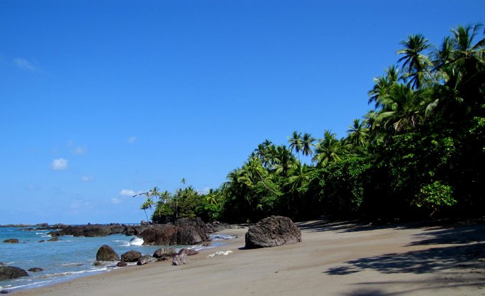 Costa Rica National Parks offer amazing jungle and exotic wildlife