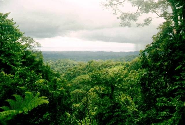Corcovado National Park in the Osa Peninsula