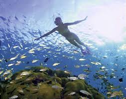 Costa Rica Snorkeling Tours
