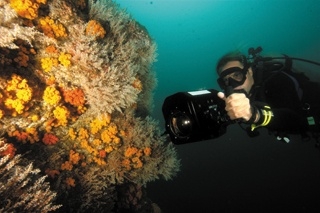 Scuba Diving in Playa de Coco