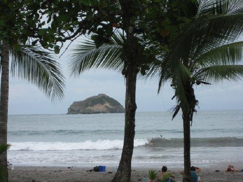 Tree line view of Manuel Antonio Beach