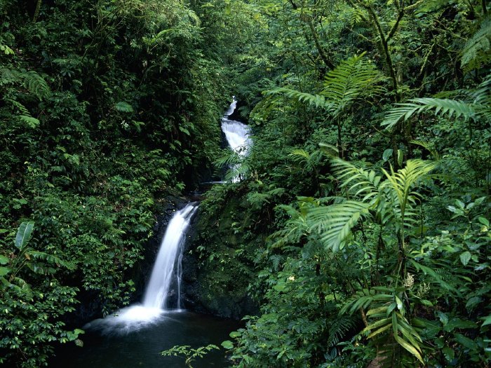 Waterfall in Monteverde cloud forest reserve