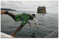 Witches Rock surf camp charter