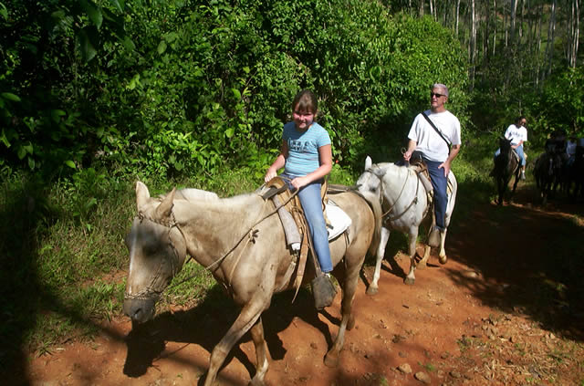 Turrialba Volcano horseback riding through jungle