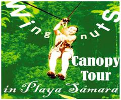 Nicoya Peninsula, Costa Rica, Rainforest Zip Line Canopy Tour