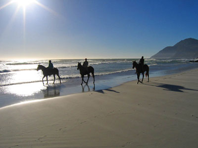 costa-rica-horseback-riding-tour