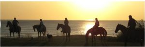 horseback-ride-costa-rica-nosara-beach