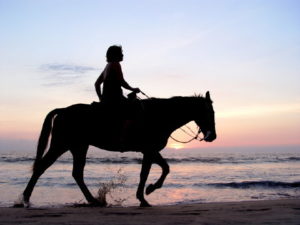 horse-riding-costa-rica-tour-beach