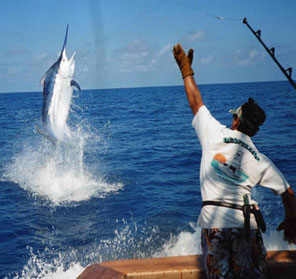 costa-rica-sport-fishing-tourism