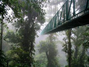 Monteverde cloud forerst suspension bridge