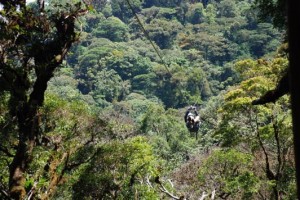 Costa Rica zip line canopy tours offered through out central america