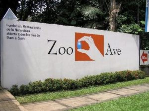 Zoo Ave great family vacation activity located in San Jose Costa Rica