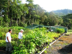 Costa Rica tree planting ceremony