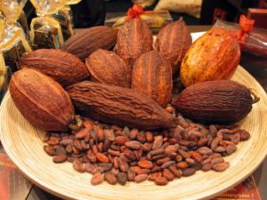Costa Rica Cacao and it's history in the region