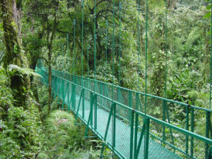 Santa Elena cloud forest hiking trail