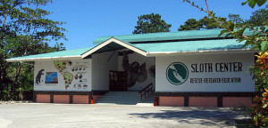 Sloth Sanctuary located in Cahuita Costa Rica