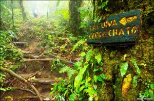 Cero Chato Hiking Trail in La Fortuna