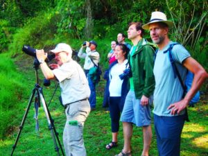 Costa Rica guided tours offer a lot of information on ecology