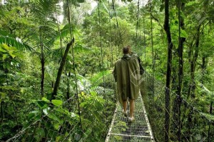Several National Parks to visit while on your Costa Rica vacation