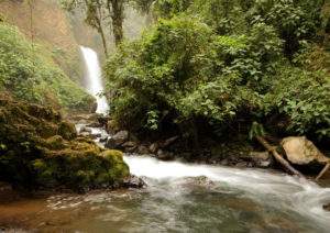 la-paz-waterfall-garden-costa-rica
