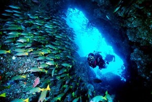 scuba-diving-cocos-island