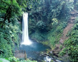 The la Paz waterfall gardens in Costa Rica