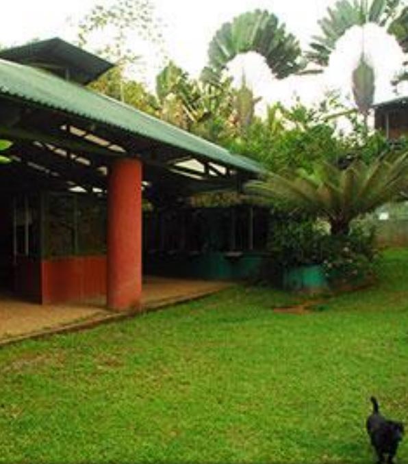 The welcome house of Dominical Reptile Park