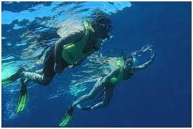 Snorkel Tour in Dominical Costa Rica