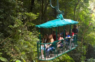 Glide over the rainforest in this aerial tram - a serene, memorable canopy tour