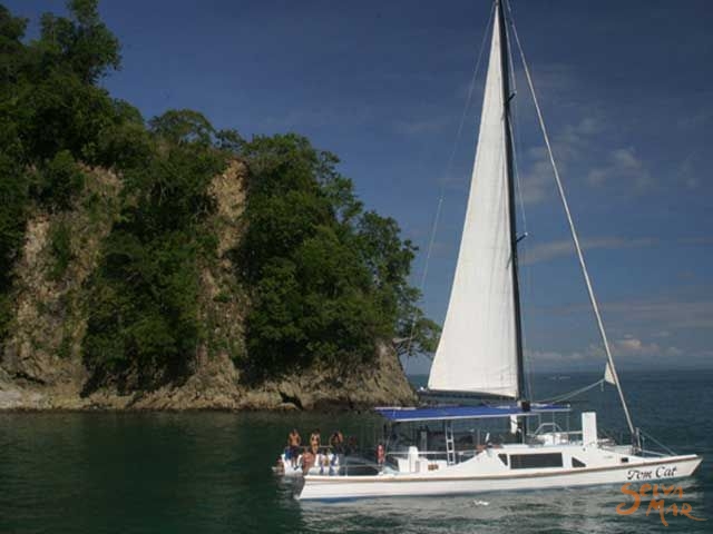 Catamaran boat tour around the islands of Manuel Antonio, dolphin watch and snorkeling