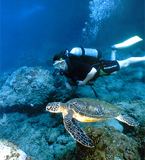 Scuba diving in the Pacific with certified instructors for an amazing underwater adventure