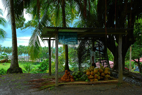 Local fruit stands and souvenir stands along the beach