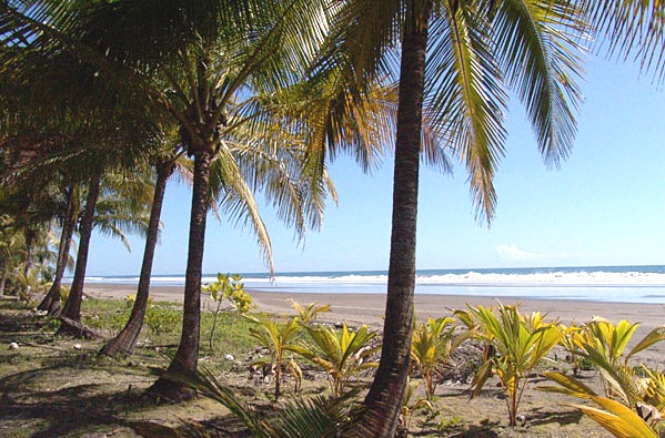 Amazing beaches and shore line in Playa Bejuco