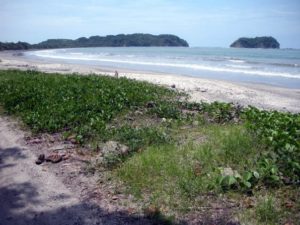 Playa Samara Nicoya Peninsula Costa Rica