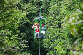 Rainforest Aerial Tram Canopy - Looking out over the thick and lush from your aerial tram