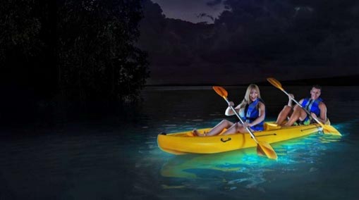 Bioluminescent kayak beach Costa Rica