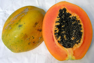 Costa Rica popular fruit called Papaya