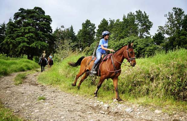 horseback riding tours costa rica-farm road