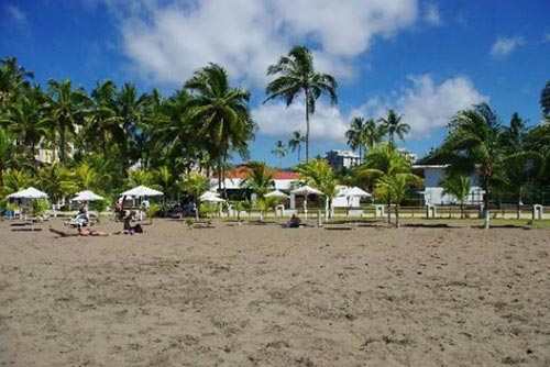 jaco beach town-palm trees on jacko beach-costa rica beaches
