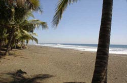 A sandy stretch of Playa Jacó