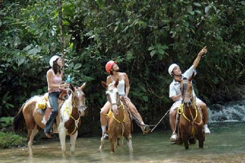 jaco-horseback-riding-rain-forrest-green-eco friendly-adventure-flaura-fauna