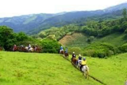 jaco-horseback-riding-trail-explore privately owned farms on horseback in and arround costa rica/jaco