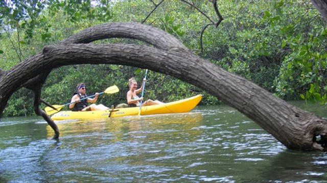Tamarindo kayaking in mangroves great family activity