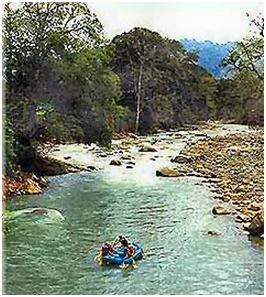 Beginner level white water rafting tours available in Quepos Manuel Antonio area of Costa Rica