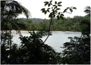 Biological reserve in Manuel Antonio and Quepos area great Eco Adventure tour for Family
