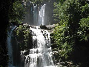 Gorgeous waterfall in Manuel Antonio seen on Family tour