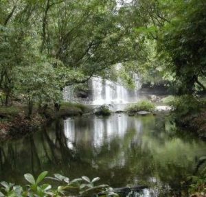 Monteverde reserve located in Costa Rica
