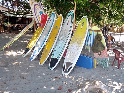 Plenty of places for renting surf boards in Playa Samara Costa Rica