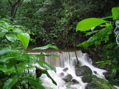 Rincon De La Vieja waterfall with Lush jungle
